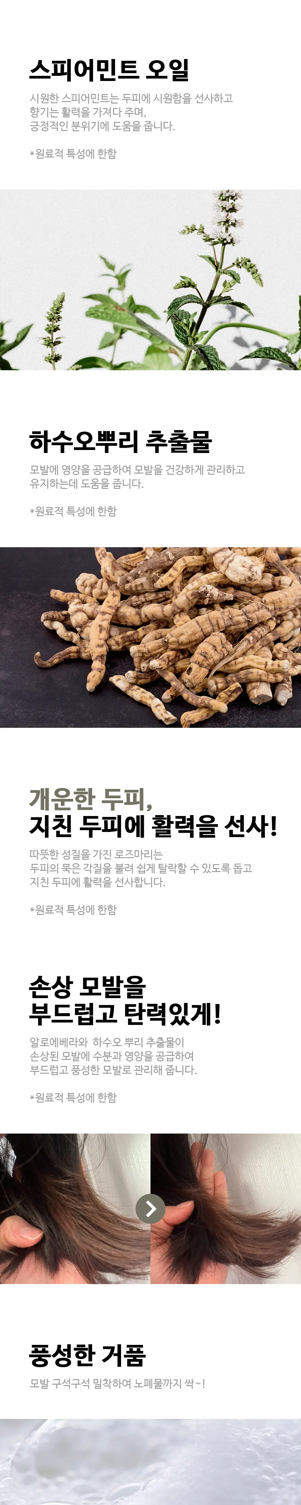 [볼륨/두피샴푸]닥터올가 로즈마리 민트 샴푸 500ml 상세페이지 2